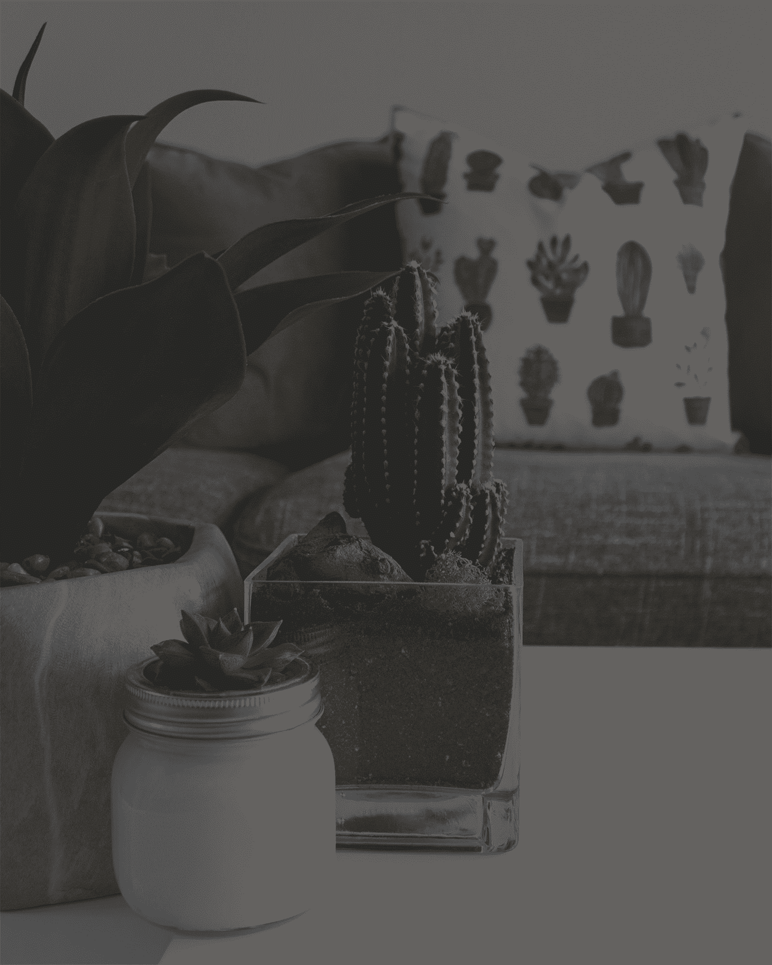 Navigating FHA Loans: A Pathway to Homeownership
